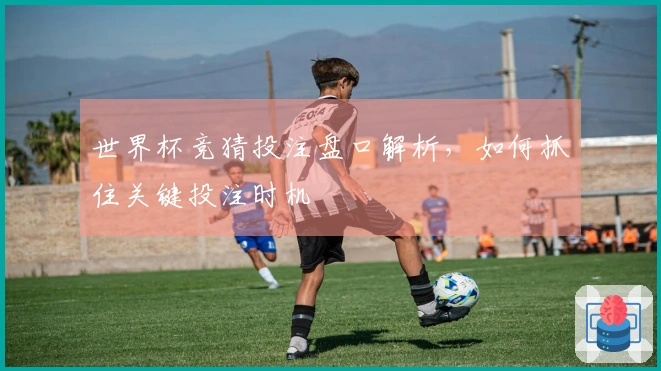 世界杯竞猜投注盘口解析，如何抓住关键投注时机