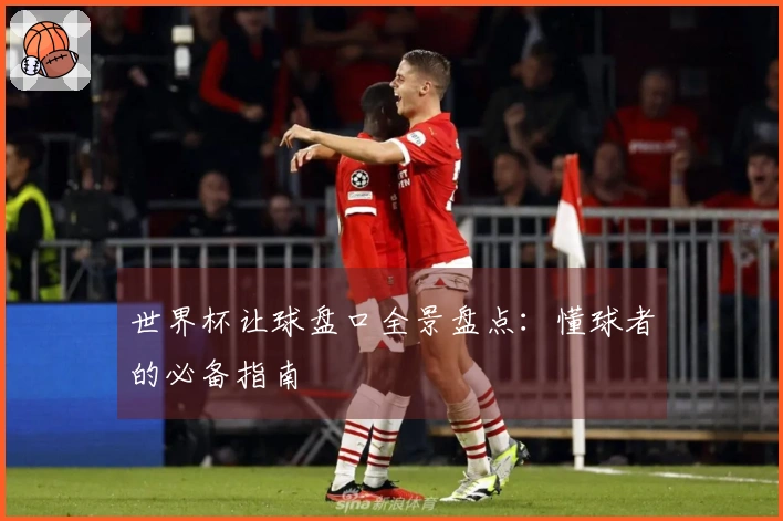 世界杯让球盘口全景盘点：懂球者的必备指南