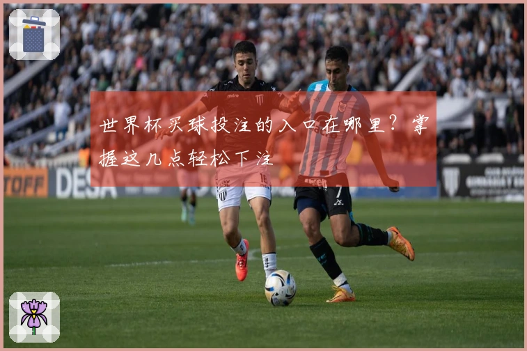 世界杯买球投注的入口在哪里？掌握这几点轻松下注