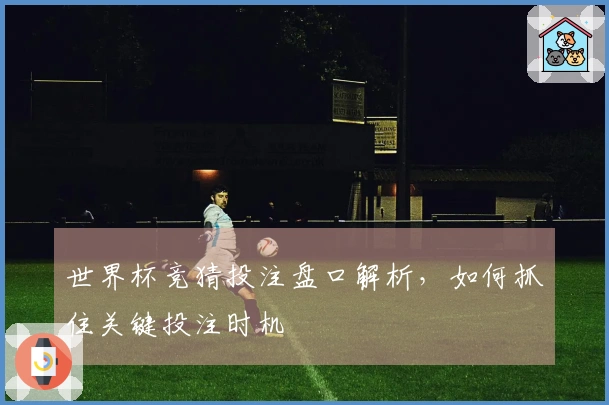 世界杯竞猜投注盘口解析，如何抓住关键投注时机