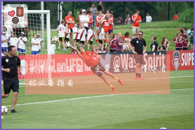 世界杯让球盘口全景盘点：懂球者的必备指南