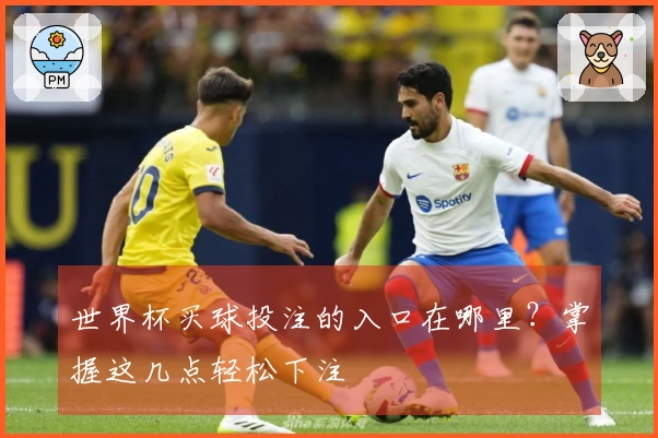 世界杯买球投注的入口在哪里？掌握这几点轻松下注